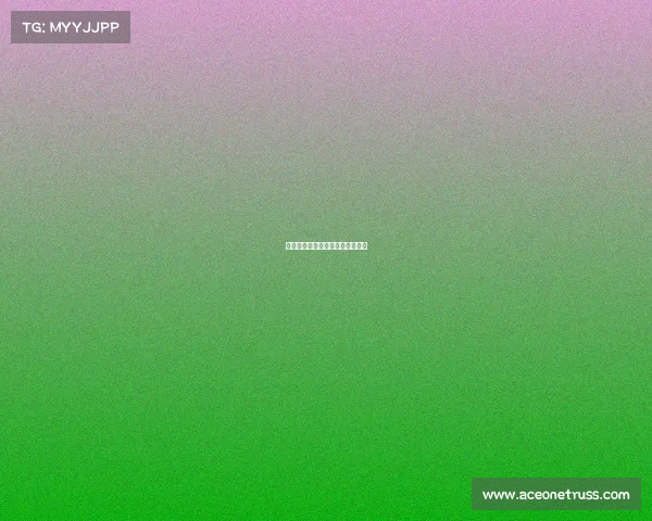 黑熊搏击赛事、黑熊搏击赛事视频